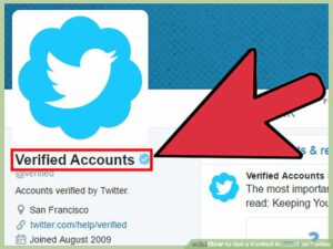 Twitter`s verification 